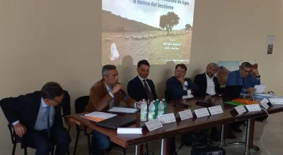 “Impatto del cinghiale e del Lupo sull’ecosistema e sui rischi sanitari nelle aziende zootecniche del Sannio”: il presidente Caturano presente al dibattito